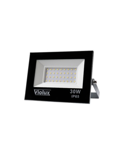 Прожектор VIOLUX RAY 30W 6000K IP65