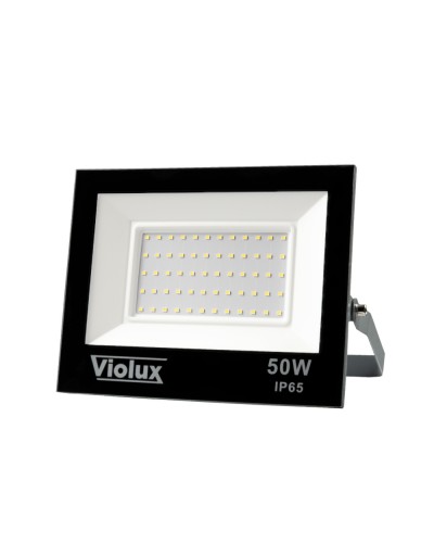 Прожектор VIOLUX RAY 50W 6000K IP65