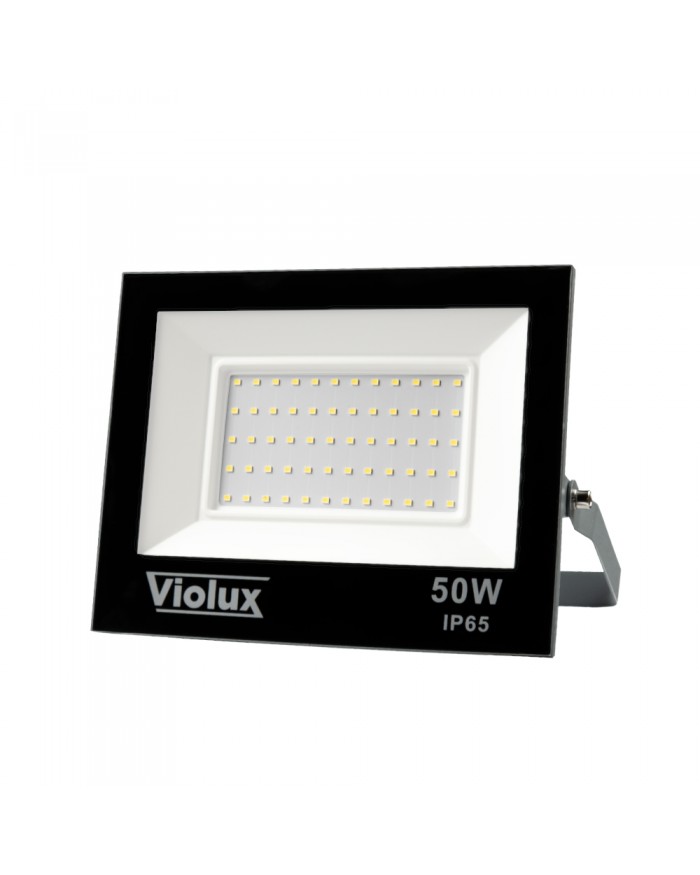 Прожектор VIOLUX RAY 50W 6000K IP65