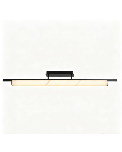 Світильник стельовий Laguna Lighting 28962-28