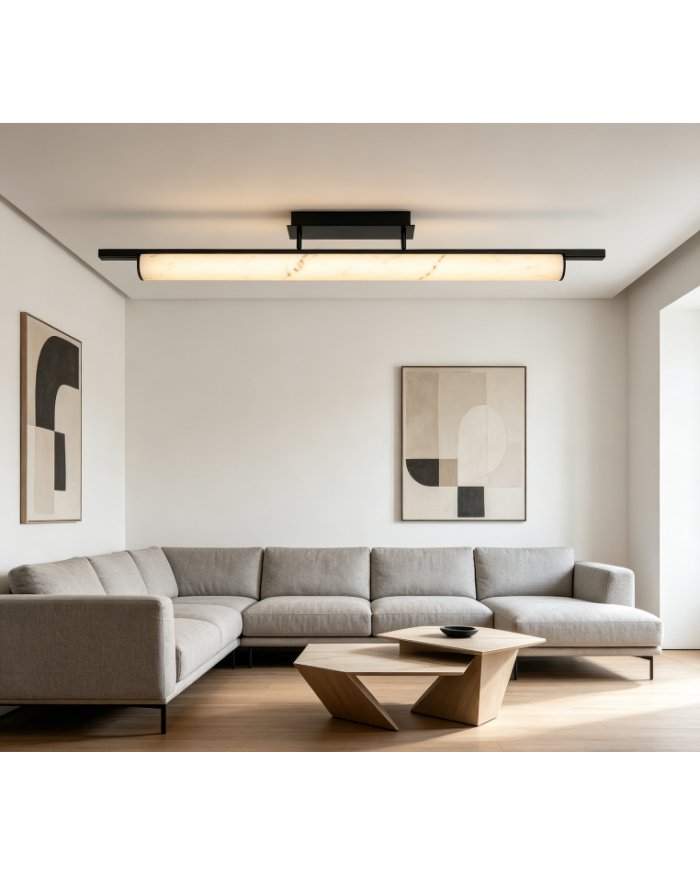 Світильник стельовий Laguna Lighting 28962-28